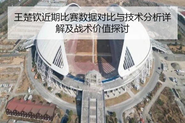 王楚钦近期比赛数据对比与技术分析详解及战术价值探讨